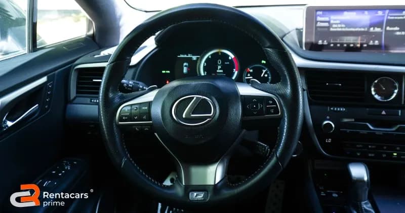 Lexus RX300 F SPORT