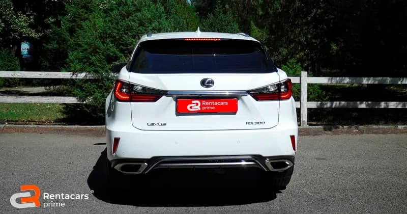 Lexus RX300 F SPORT