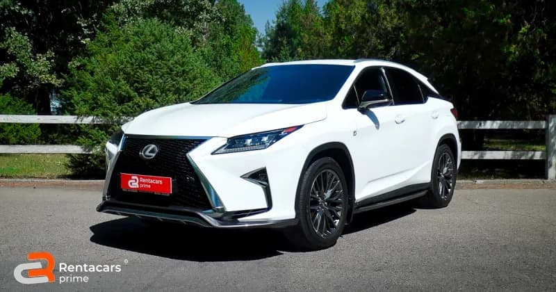 Lexus RX300 F SPORT