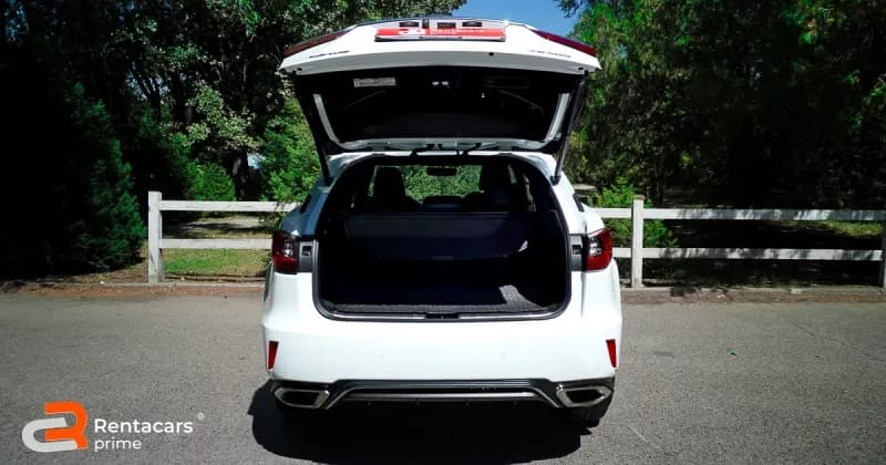 Lexus RX300 F SPORT