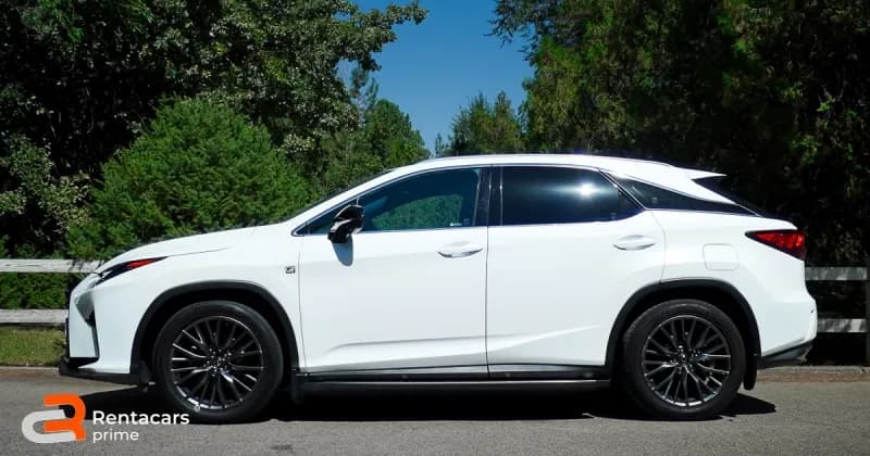 Lexus RX300 F SPORT