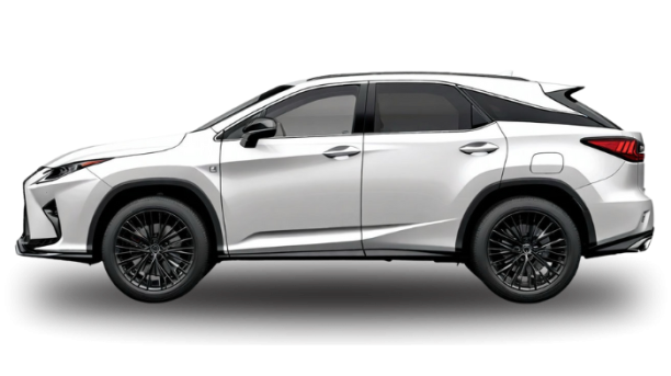 Lexus RX300 F SPORT