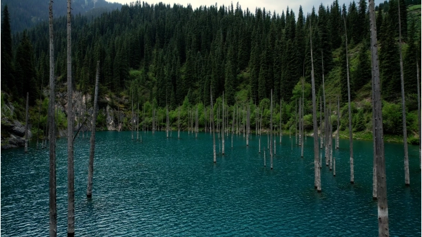 Золотое Кольцо Семиречья