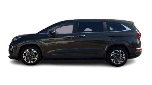 Hyundai Custin