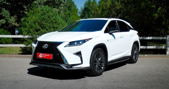 Lexus RX300 F SPORT